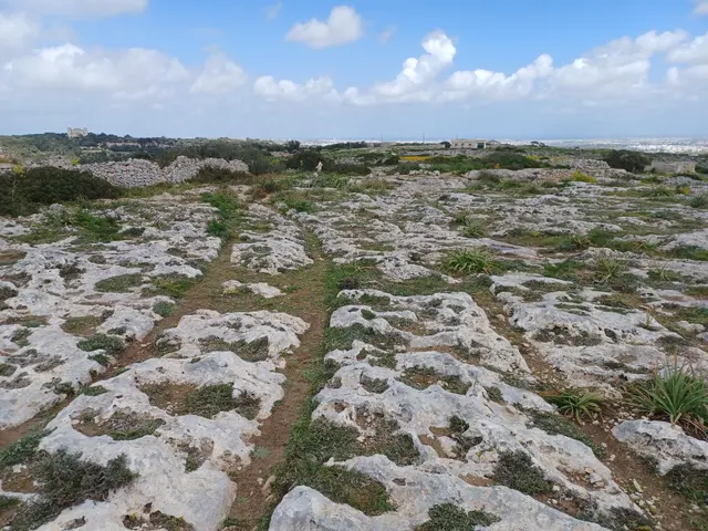 Misraħ Għar il-Kbir Cart Ruts