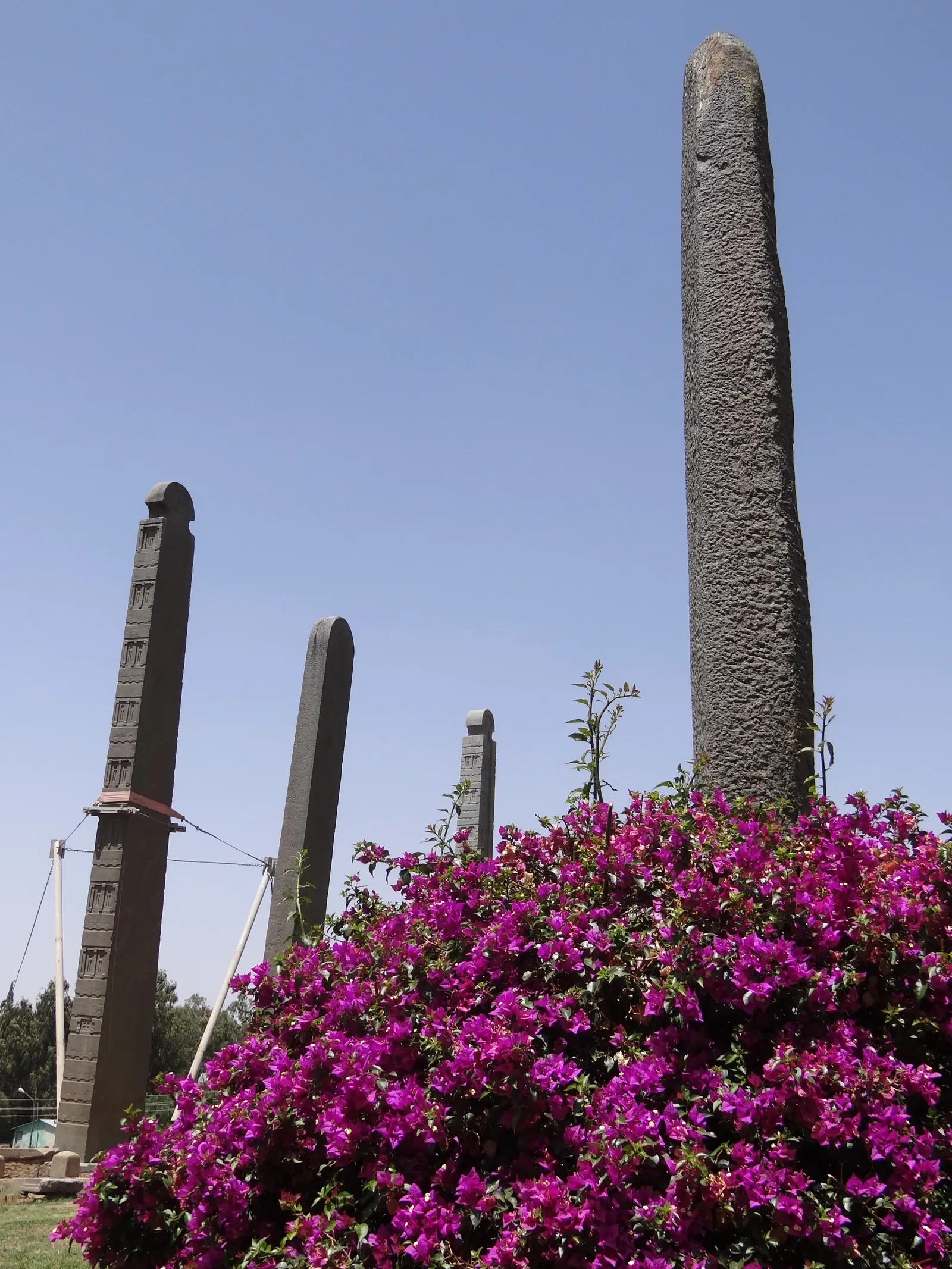 Aksum Stelae
