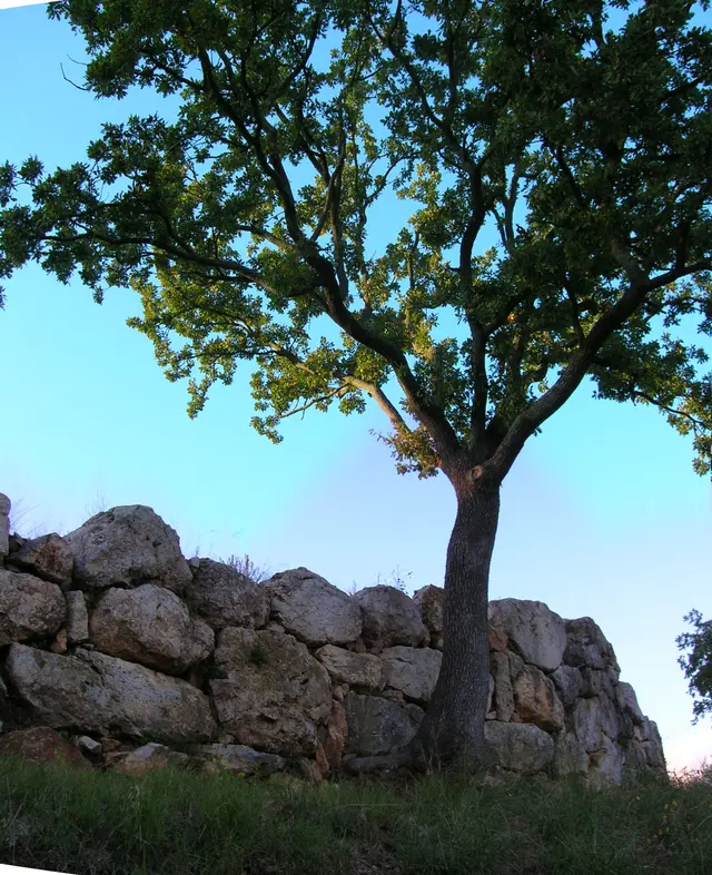 Roselle Archaeological Park