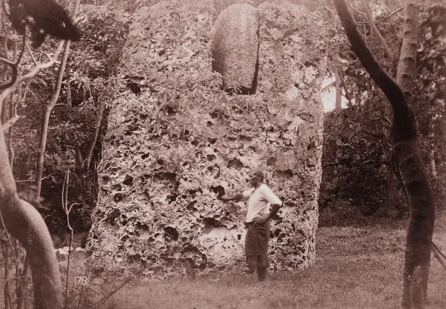 Haʻamonga ʻa Maui