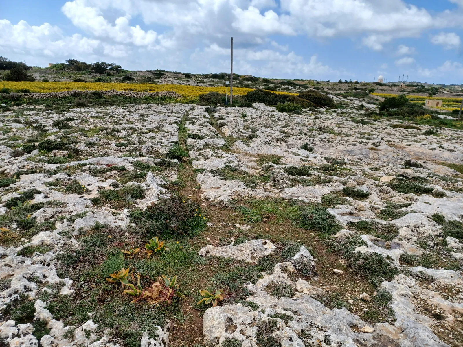 Misraħ Għar il-Kbir Cart Ruts