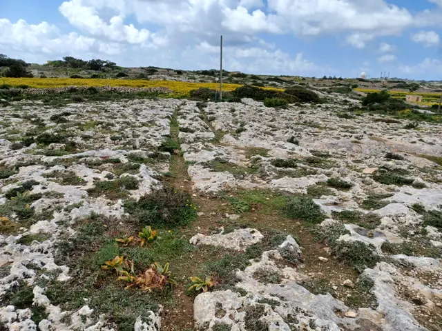Misraħ Għar il-Kbir Cart Ruts