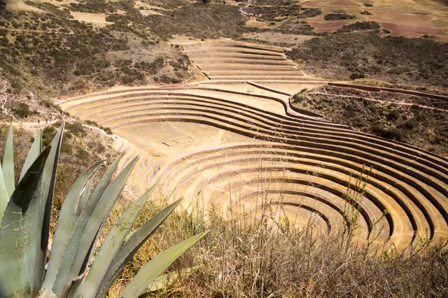 Moray