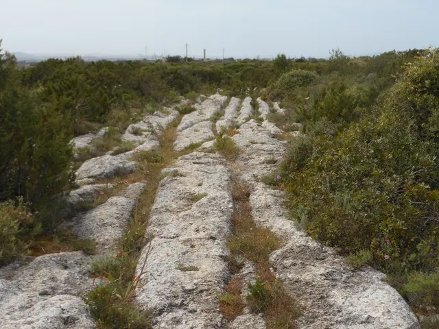 Su Crucifissu Mannu Necropolis and Cart Ruts