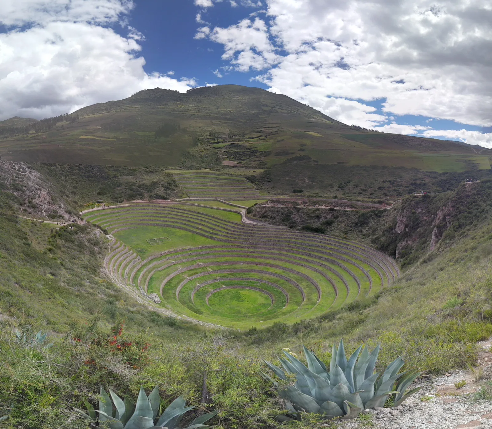 Moray